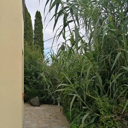 Casa Ninfea Panzio דירה