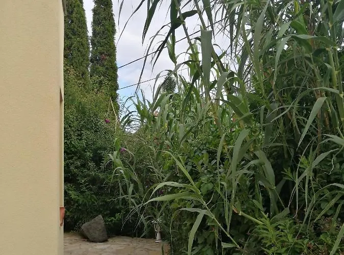 Casa Ninfea Panzio Apartment